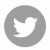 Twitter icon